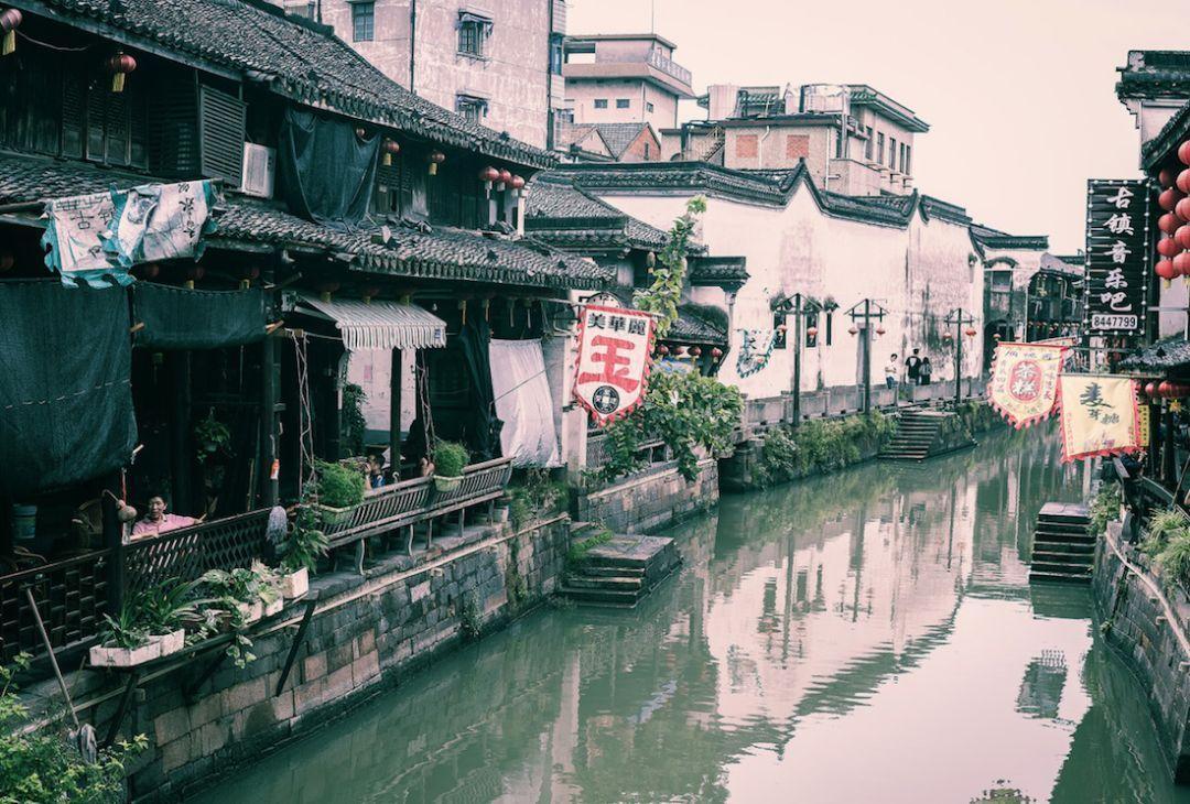 新“椿”鲜味浓
